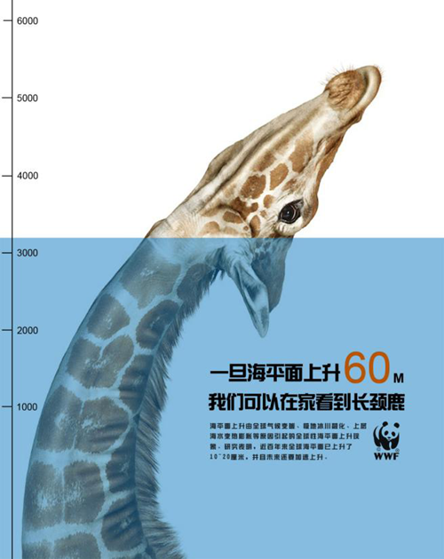 图片22_副本.png 图片22_副本.png