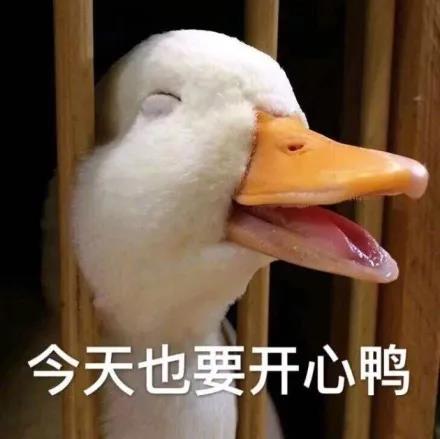 77.jpg 77.jpg